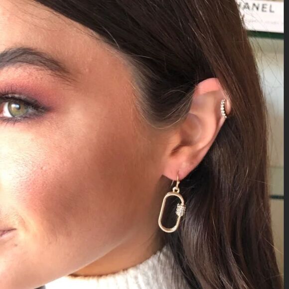 Jewelry - NWT Carabiner Drop Earrings 